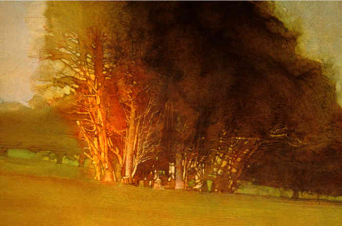 David Grove painting of group of trees