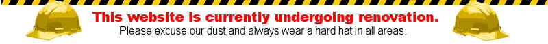 website renovation notice